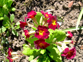 Similar image 21885459