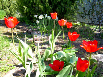 Similar image 21885461