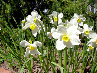 Similar image 21885464