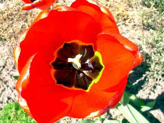 Similar image 21885465