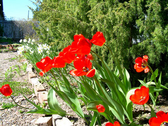 Similar image 21885466