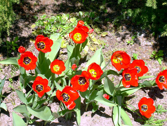 Similar image 21885467