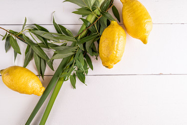 Similar image 21885468