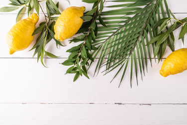 Similar image 21885469