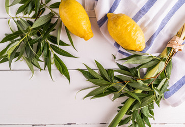 Similar image 21885470