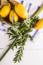 Similar image 21885471