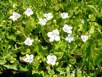 Similar image 21885486