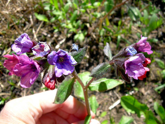 Similar image 21885487