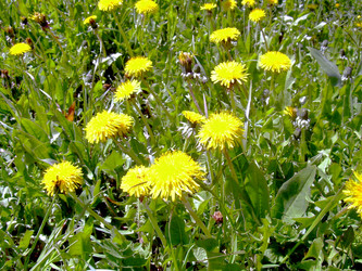 Similar image 21885488