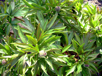 Similar image 21885490