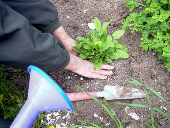 Similar image 21885495