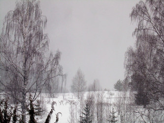 Similar image 21885496