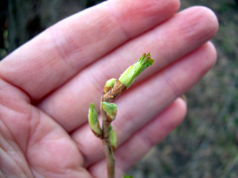 Similar image 21885498