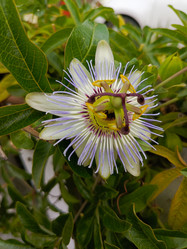 Similar image 21888059