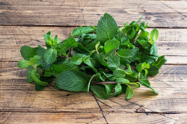 Similar image 21886115