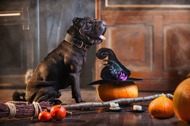 Similar image 21890507