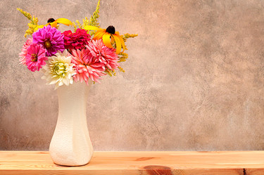 Similar image 21885518