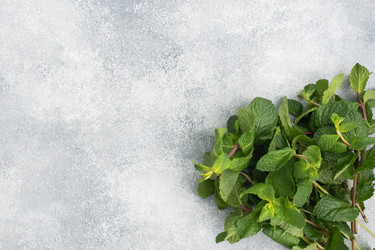 Similar image 21886073