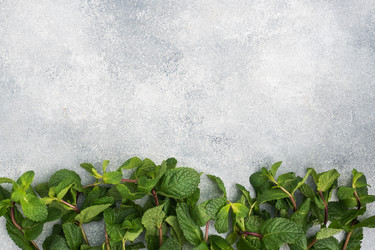 Similar image 21886075