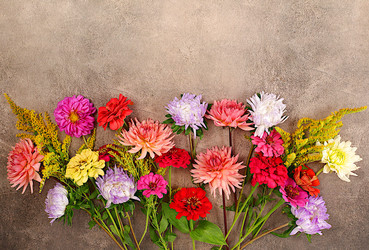 Similar image 21885520