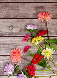 Similar image 21885521