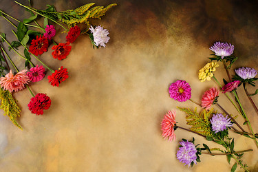 Similar image 21885524