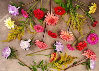 Similar image 21885525