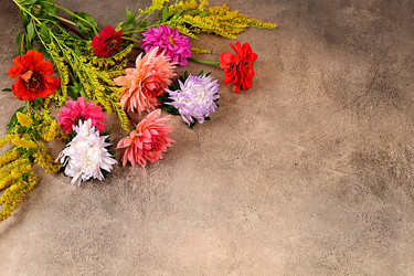 Similar image 21885526