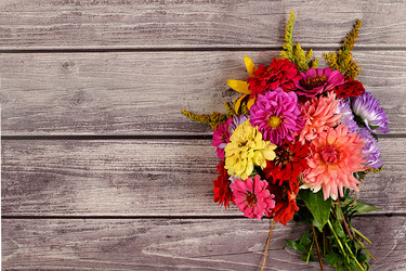 Similar image 21885530