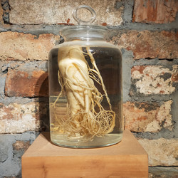 Similar image 21887215