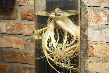 Similar image 21887218