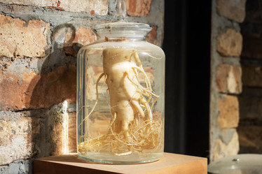 Similar image 21887219