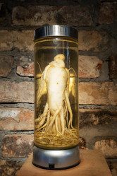 Similar image 21887221