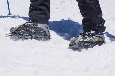 Similar image 21889113