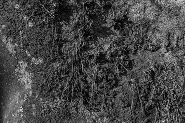 Similar image 21892334