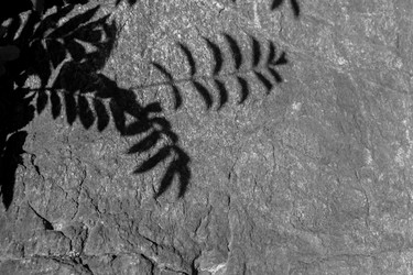 Similar image 21892335