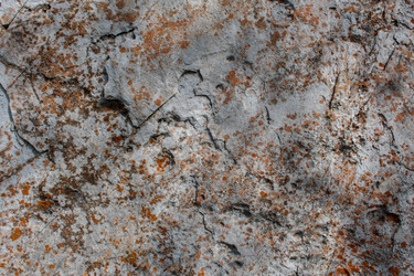 Similar image 21886735