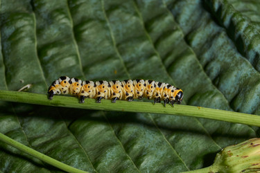 Similar image 21885362