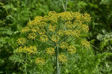 Similar image 21885363