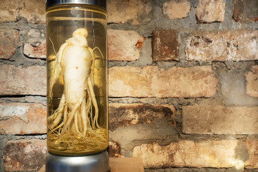 Similar image 21887010