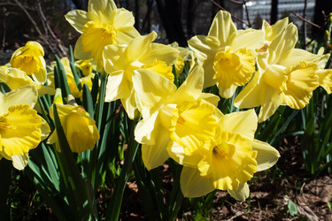 Similar image 21887013