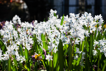 Similar image 21887015