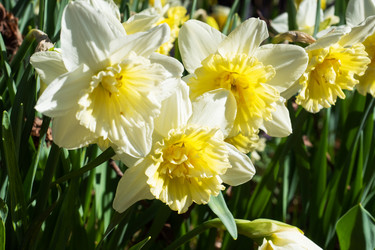 Similar image 21887016