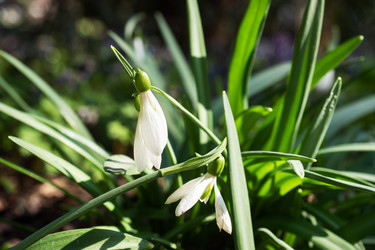 Similar image 21887023