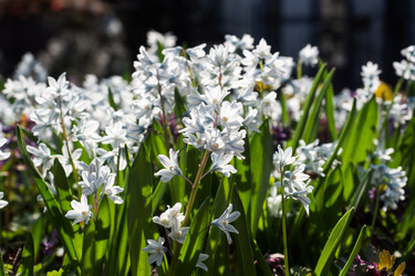 Similar image 21887026