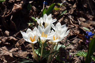 Similar image 21887027