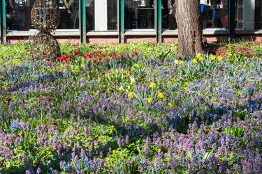 Similar image 21887031