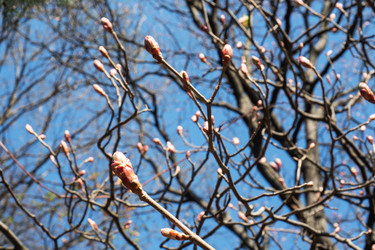 Similar image 21887032