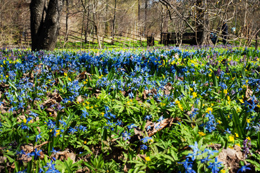 Similar image 21887034