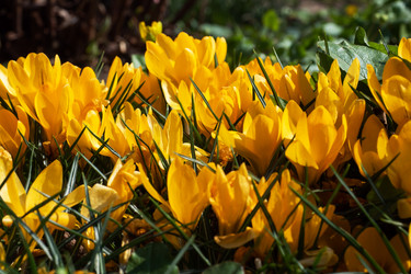 Similar image 21887035